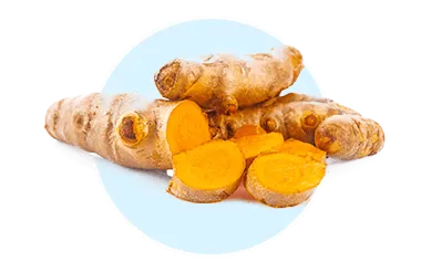 Turmeric